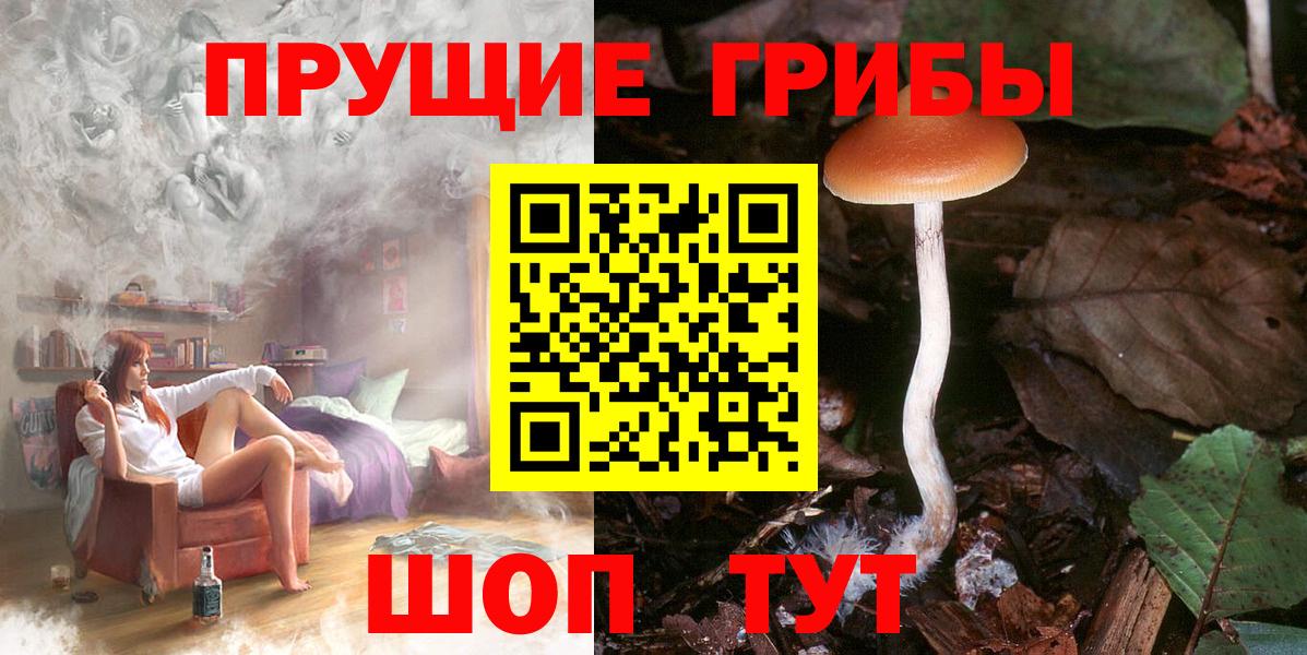 Дюртюли  Галлюциногенные грибы мицелий  Вход с VPN 