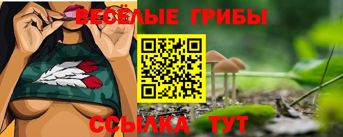 Псилоцибиновые грибы мухоморы Дюртюли